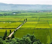 '알곡 생산 목표' 달성에 전념하는 북한.."농작물 비배관리 및 가을걷이 준비"