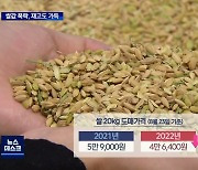 [안동]45년 만에 최대 쌀값 폭락..남은 재고 '산더미'