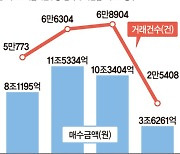 다주택자 8만명, 3억이하 21만채 34조원어치 싹쓸이 [부동산 시장 혼란 가중]