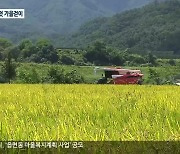 국토 최북단의 첫 가을걷이.."안타까운 농심"