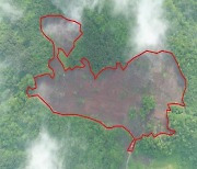 세계자연유산 거문오름 훼손한 일당 검거 "나무 1만그루 잘려"