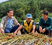손병환 농협금융 회장, 호우 피해 농가 방문.. "전사적 지원 펼칠 것"