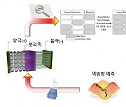 "AI로 차세대 배터리 신소재 개발 단축한다"