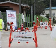 영주서도 아프리카돼지열병..지역 양돈농장 정밀 검사