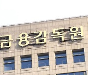 이상외환거래 검사 확대..금감원, KB국민·하나·농협·SC은행 돌입