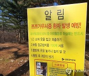 쓰쓰가무시증 일으키는 털진드기, 가을에 기승.."야외활동 주의"