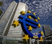 EU Dollar Euro Parity Explainer