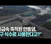 [뉴스+] "중금속 축적된 안동댐, 대구 식수로 사용한다고?"