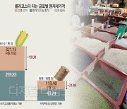 [치솟는 물가 고점찍었나] 곡물가 급락했지만.. 4분기 재급등 가능성