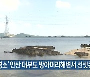 '낙조 명소' 안산 대부도 방아머리해변서 선셋콘서트