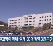 '포항 길고양이 학대·살해' 30대 징역 3년 구형