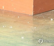 "울산 학교 10곳 중 4곳에 석면 자재..안전한 철거가 우선"