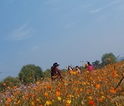 [내일날씨] 구름 많지만 서울 낮 더위..수도권 새벽 한때 비