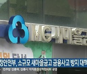 행정안전부, 소규모 새마을금고 금융사고 방지 대책 추진