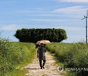 바람은 가을 햇빛은 여름