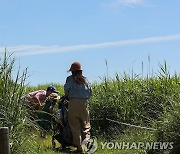 파란 가을하늘 보러 공원 나들이