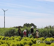 파란 가을하늘 보러 공원 나들이