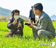 "북한, 인도서 쌀 1만t 수입 추진..'식량난'에 이례적 선택"-VOA