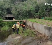 다리 다쳐 마을 내려온 꽃사슴..구조돼 동물보호소로 인계