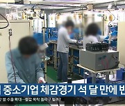 대구·경북 중소기업 체감경기 석 달 만에 반등