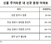 신흥 주거타운 내 초기 분양 단지 프리미엄..지역 대장주 기대감