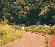 [박상익의 사진으로 세상읽기] 리콴유가 본 한국인/우석대 명예교수