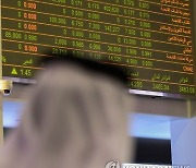 UAE STOCK MARKETS