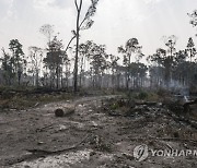 Brazil Amazon More Record Fire