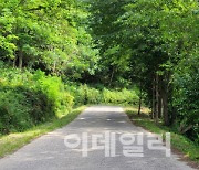 산림청, 올 추석연휴중 임도 한시 개방..코로나 여파 3년만