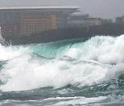 "한번도 경험 못한 태풍" 힌남노 6일 한반도 강타