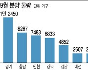 개포자이 분양권 한달새 1.2억↓..서울 추가 하락 관심둬야