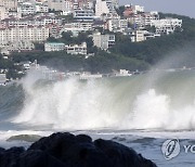 [날씨] 태풍 힌남노 영향 전국 시간당 50∼100mm 많은 비