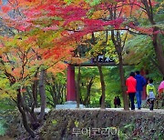 순창군 강천산군립공원, 추석 연휴 무료 개방