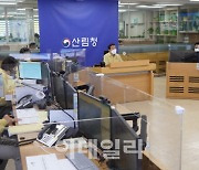 남성현 산림청장, 태풍 피해상황 점검 긴급 상황회의 주재