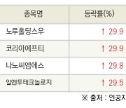 [fnRASSI]오늘의 상한가, 노루홀딩스우 29.9% ↑