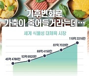 옛날 '콩고기'는 잊어라.. 세계 휩쓰는 '신종 대체육'의 비밀