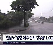 '힌남노' 영향 제주 산지 강우량  1,000mm↑