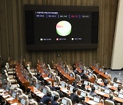 '일시적 2주택자·고령 1주택자' 종부세 완화 개정안, 국회 통과