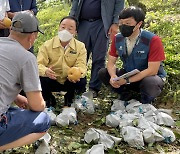 최문섭 농협손보 대표 "태풍피해 농작물 사고조사 추석 전 완료할 것"