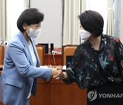 국회 정치개혁특위