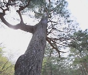 추석 연휴, 국가 중요 농업 유산 둘러보세요