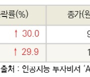 [fnRASSI]오늘의 상한가, HLB글로벌 30.0% ↑