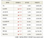 [fnRASSI]장마감, 코스닥 상승 종목(나노 29.9% ↑)