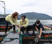 완도 앞바다에 적조주의보