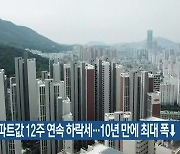 부산 아파트값 12주 연속 하락세..10년 만에 최대 폭↓