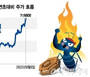 소리 소문 없이 올해 258% 오른 주식..700% 영업익 뛴 '이곳'