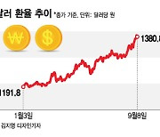 '1$=1450원'도 가능하다..고환율 시대 속 '수혜주' 무엇 있나