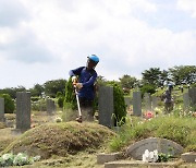 야외서 응급상황 대응요령, 뱀머리 삼각형 이빨자국 두개면 독사