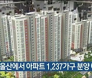 9월에 울산에서 아파트 1,237가구 분양 예정