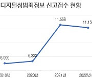 'n번방 뿌리 뽑겠다' 했지만 디지털 성범죄 증가세